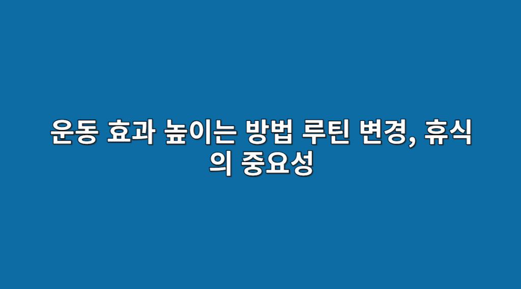 운동 효과